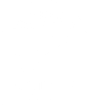 craft\elements\db\ElementQuery