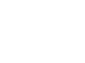 craft\elements\db\ElementQuery